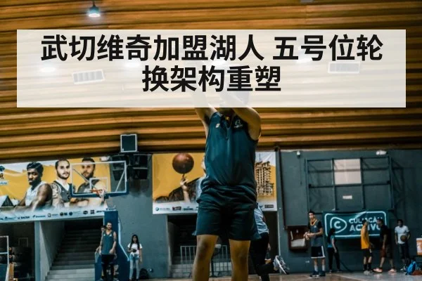 武切维奇加盟湖人 五号位轮换架构重塑